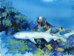 Gayle and a large nurse shark