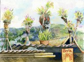 2 day drive to Garoka - Roofs planted w/ Orchids 