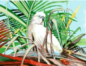 Oct 10
Cockatoo