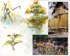 Sepik River 4