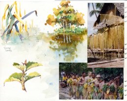 Sepik River 4
