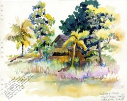 Sepik River 5