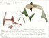 a lesson of shark