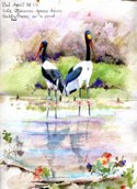 April 23-- Kruger
