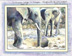 Tintswalo Lodge - Elephants at our window