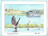 Zambezi Queen